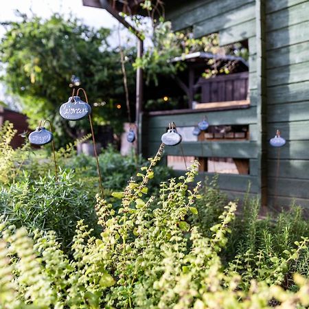 Zirbenholz Tiny House "Waldhauszeit" Am See Mücke Esterno foto