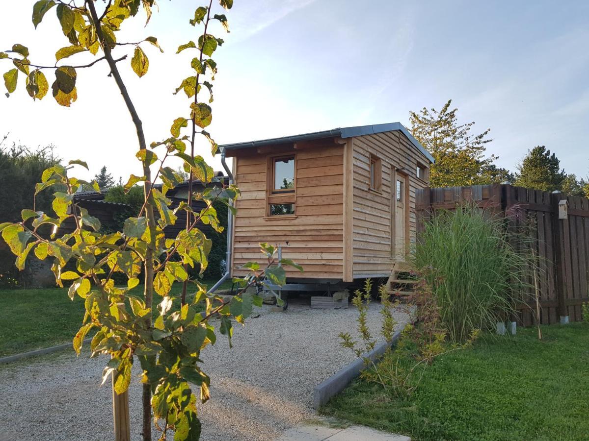 Zirbenholz Tiny House "Waldhauszeit" Am See Mücke Esterno foto