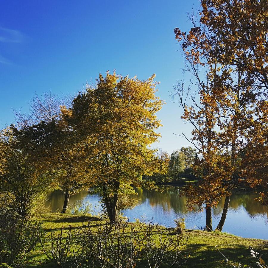 Zirbenholz Tiny House "Waldhauszeit" Am See Mücke Esterno foto