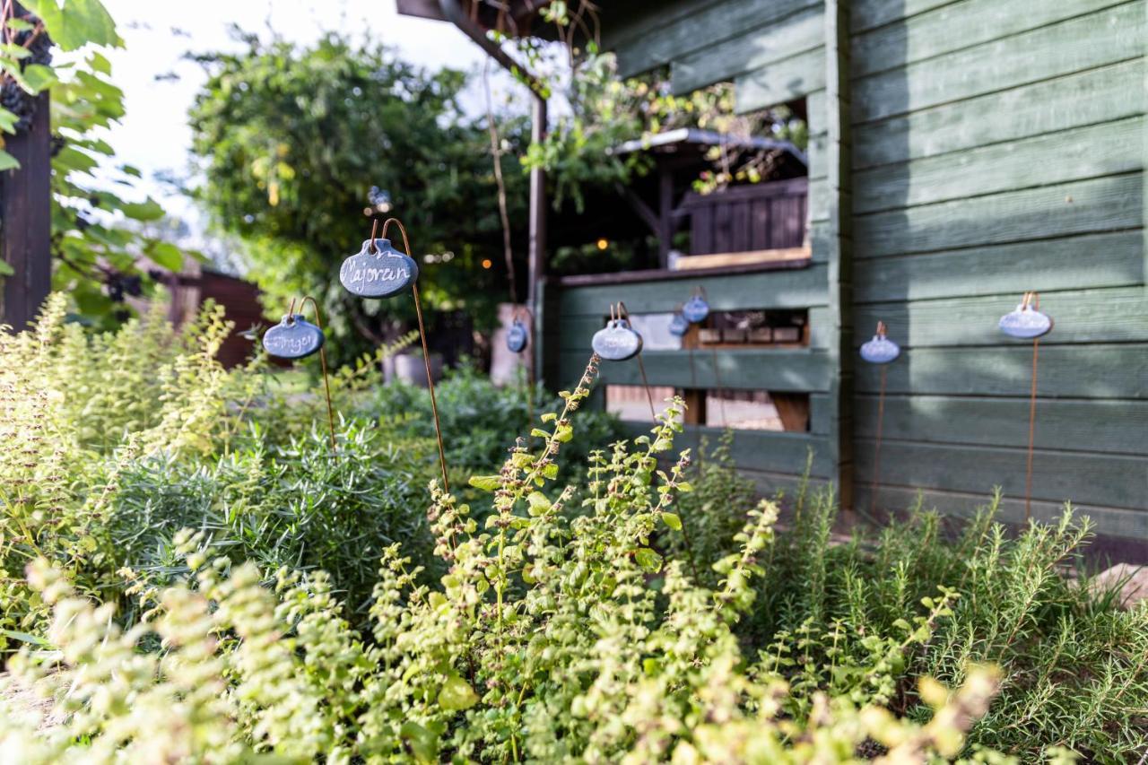 Zirbenholz Tiny House "Waldhauszeit" Am See Mücke Esterno foto